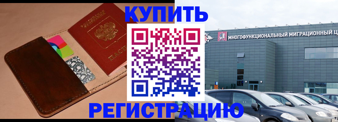 прописка поиск в Чечне